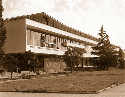 Дружина «Стремительная»