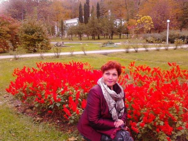 чулкова. елена ..