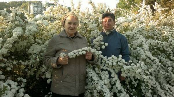 Avanesyan.......