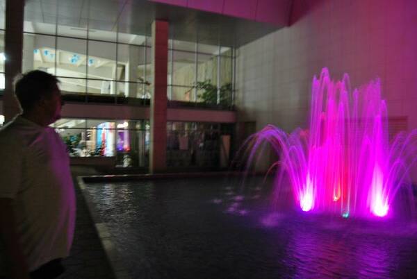 DSC 0480