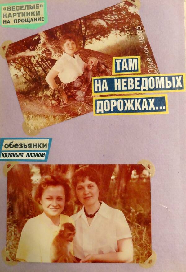Бауэр (27)