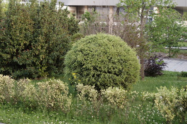 DSC05047