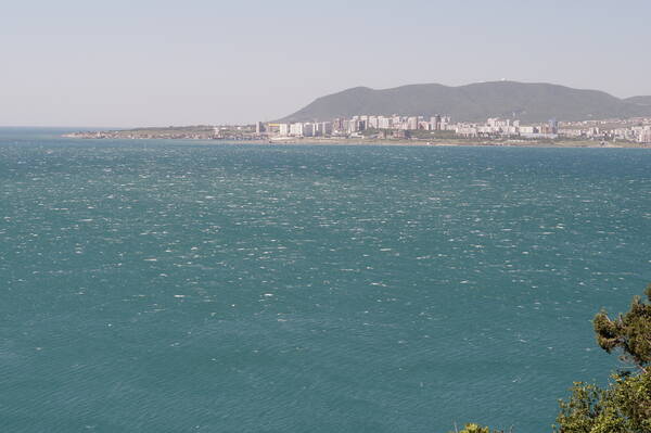 DSC04895