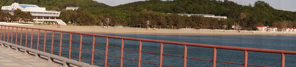 DSC05003