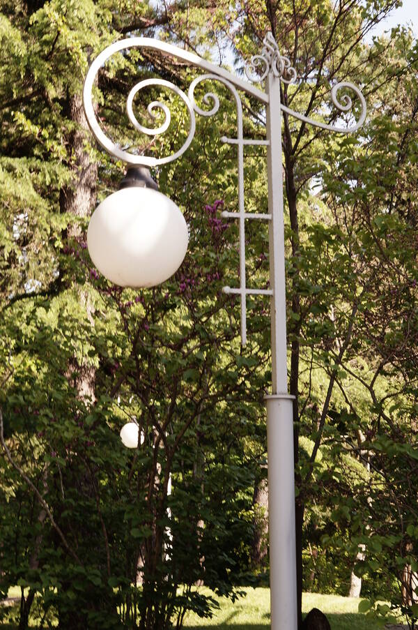 DSC04981