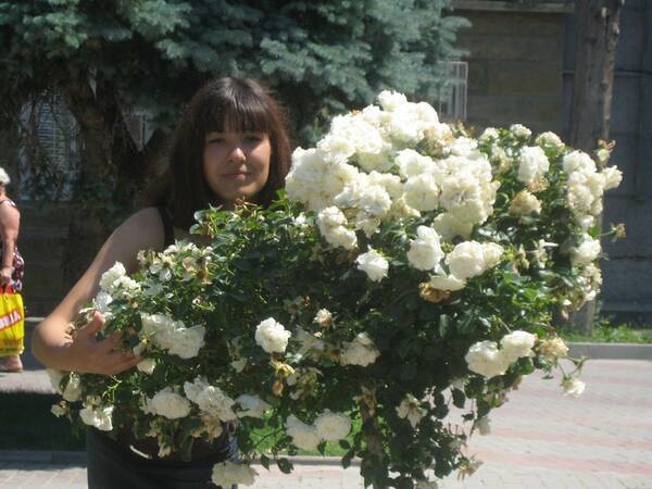 Мадина    Хайдарова