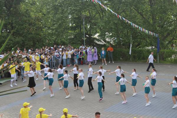звезднная (4)