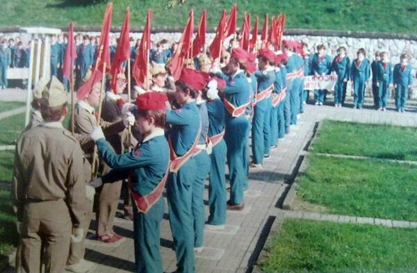 Изображение 347