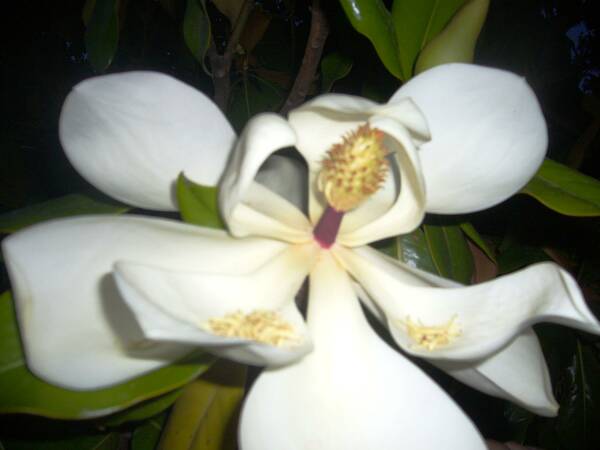 P1050153