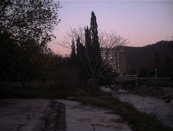 IMG 0008