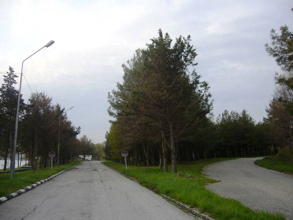 P1040095