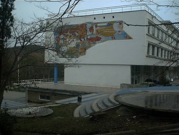 IMG 0081