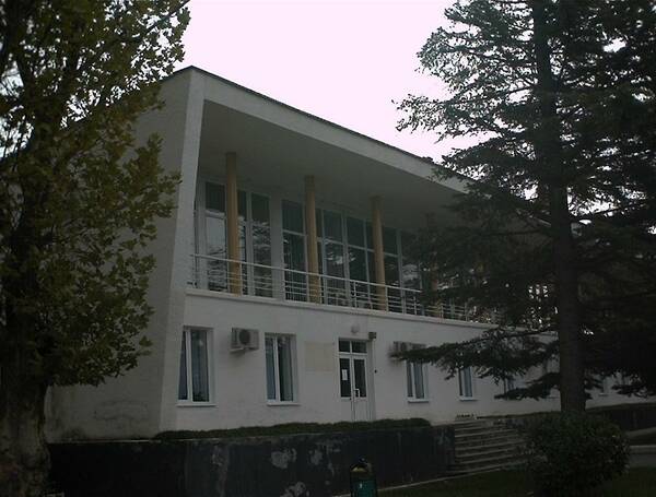 IMG 0087