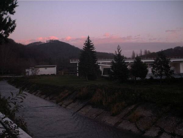 IMG 0013