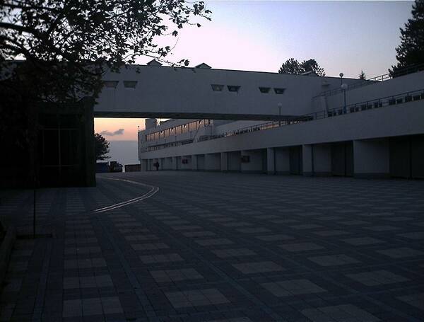 IMG 0009