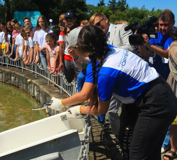 На выпуске краснокнижных рыб