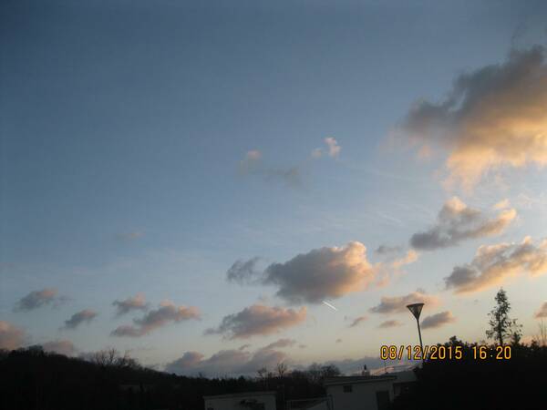 IMG 9202