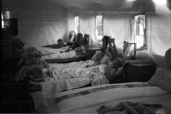 1968 год