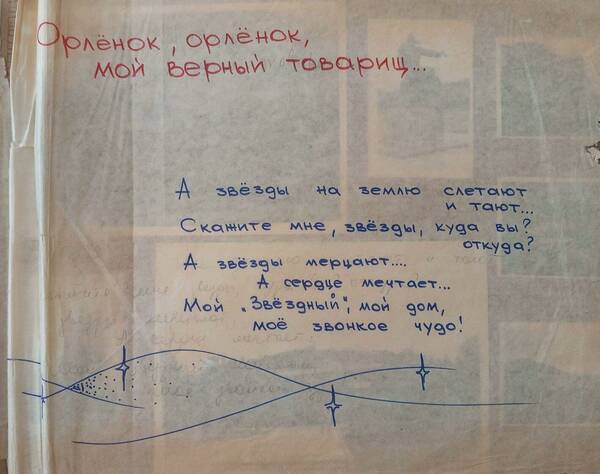 Шичёва Татьяна (4)