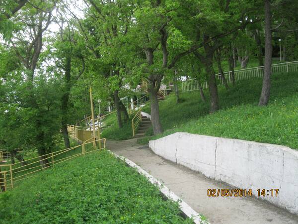 Изображение 323