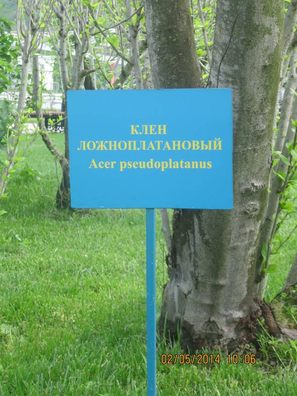 Изображение 169