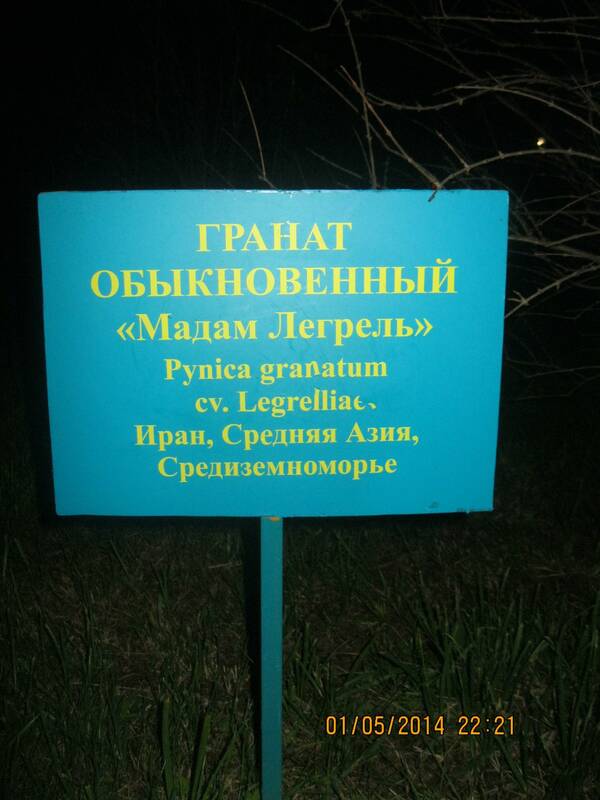 Изображение 086