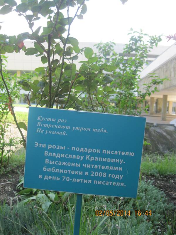 Изображение 332
