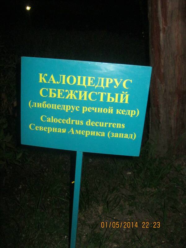 Изображение 090