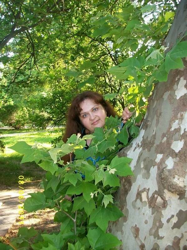 новикова