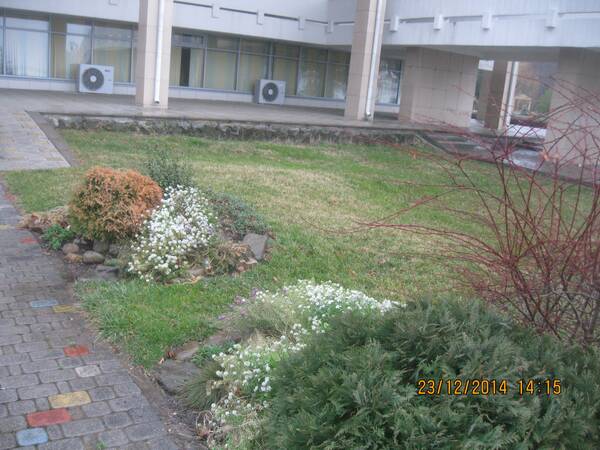 IMG 4185