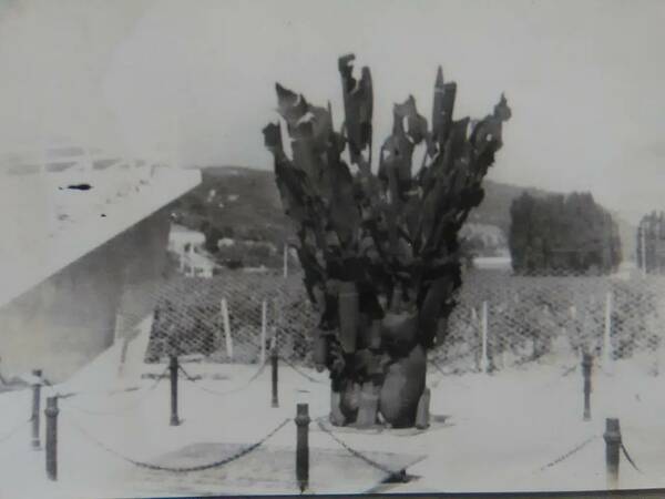 Дружина солнечная 1985 сентябрь. Старты надежд