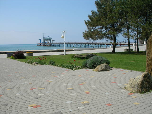 sany0132.jpg