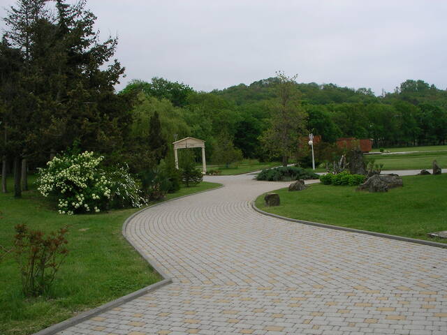 sany0271.jpg