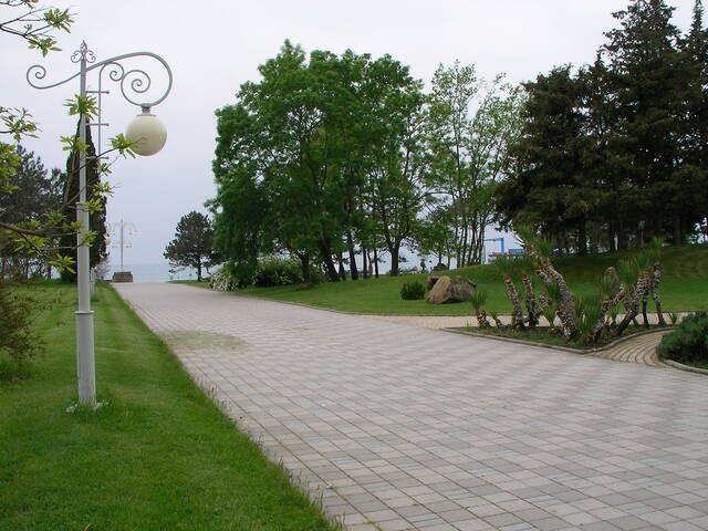 sany0290.jpg