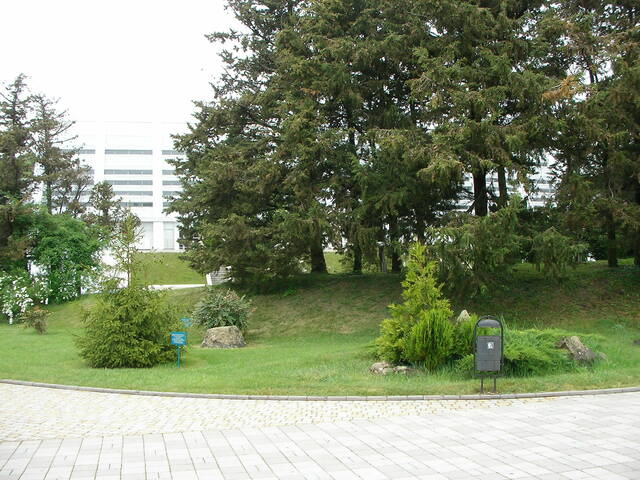 sany0294.jpg