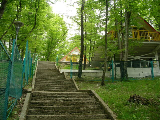 sany0337.jpg