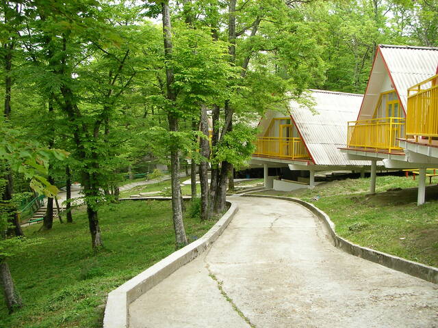 sany0346.jpg