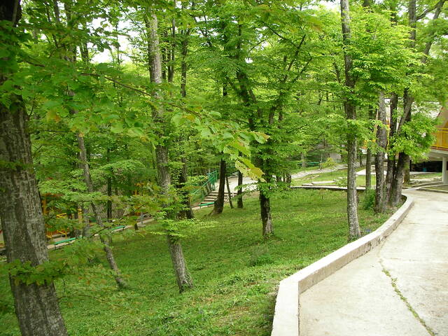 sany0347.jpg