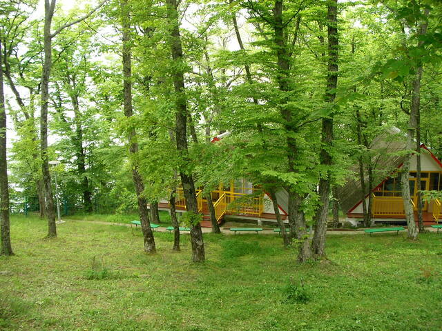 sany0350.jpg