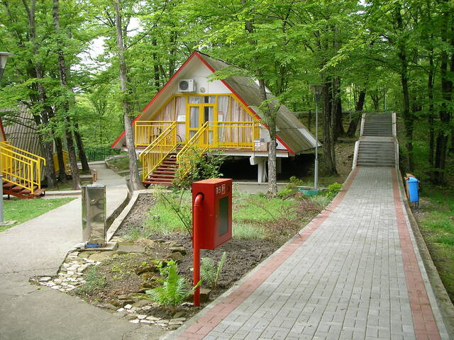 sany0366.jpg