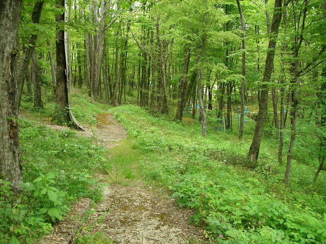 sany0368.jpg