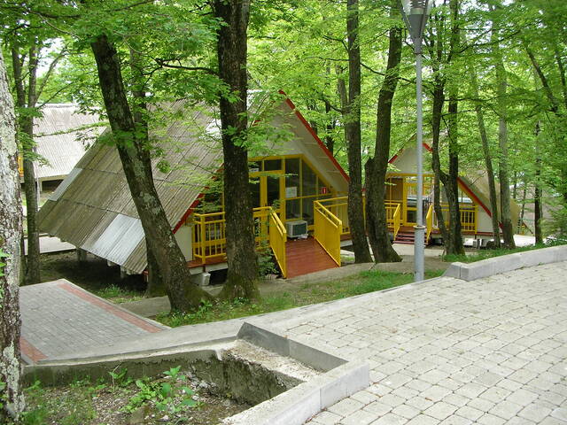 sany0374.jpg