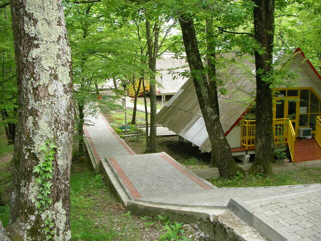 sany0375.jpg