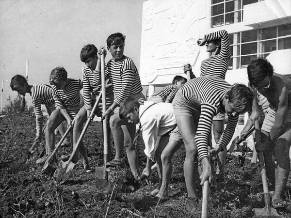  Октябрь 1966 год, трудовой десант четвёртого взвода. 