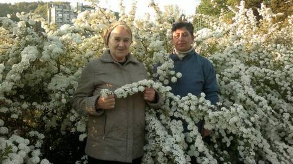 Avanesyan.......