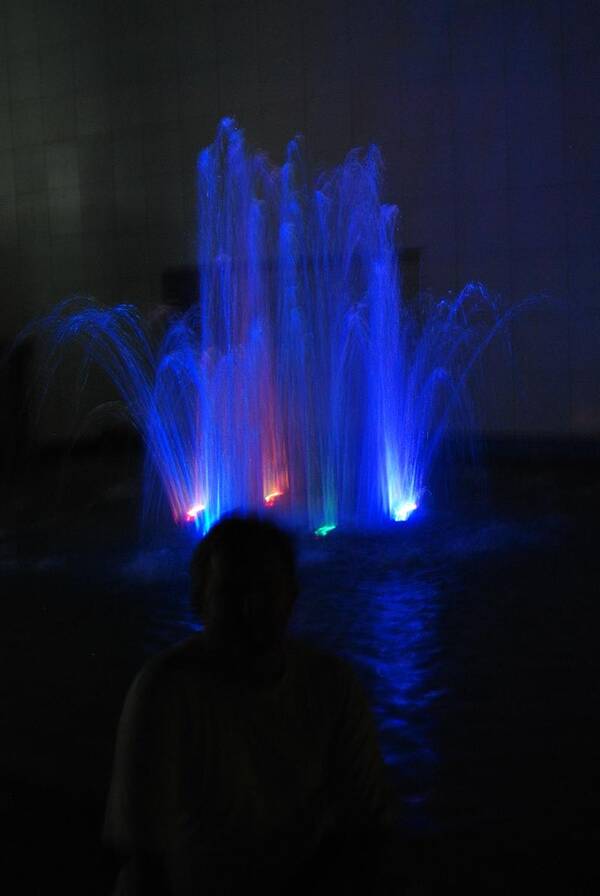 DSC 0479