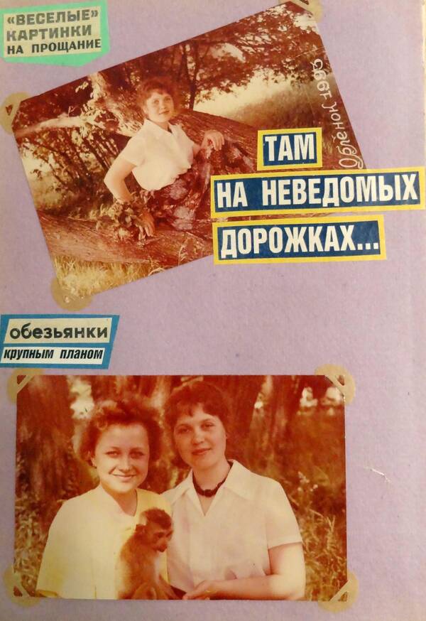 Бауэр (27)