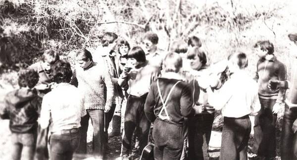 1981 .