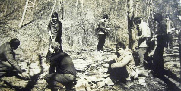 1981 .. .