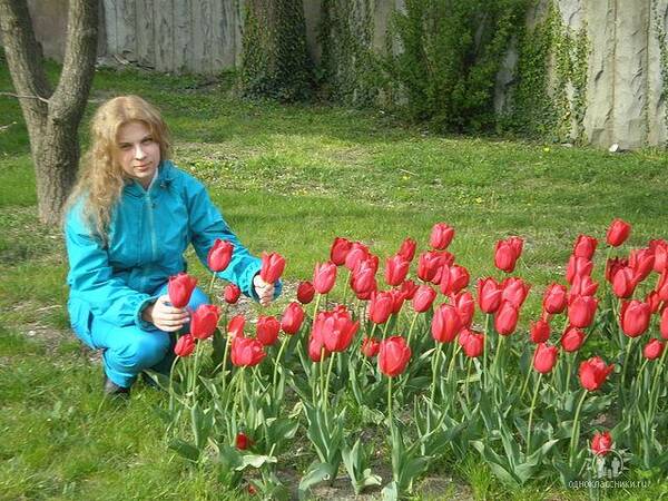 Долгая Наталья 8887